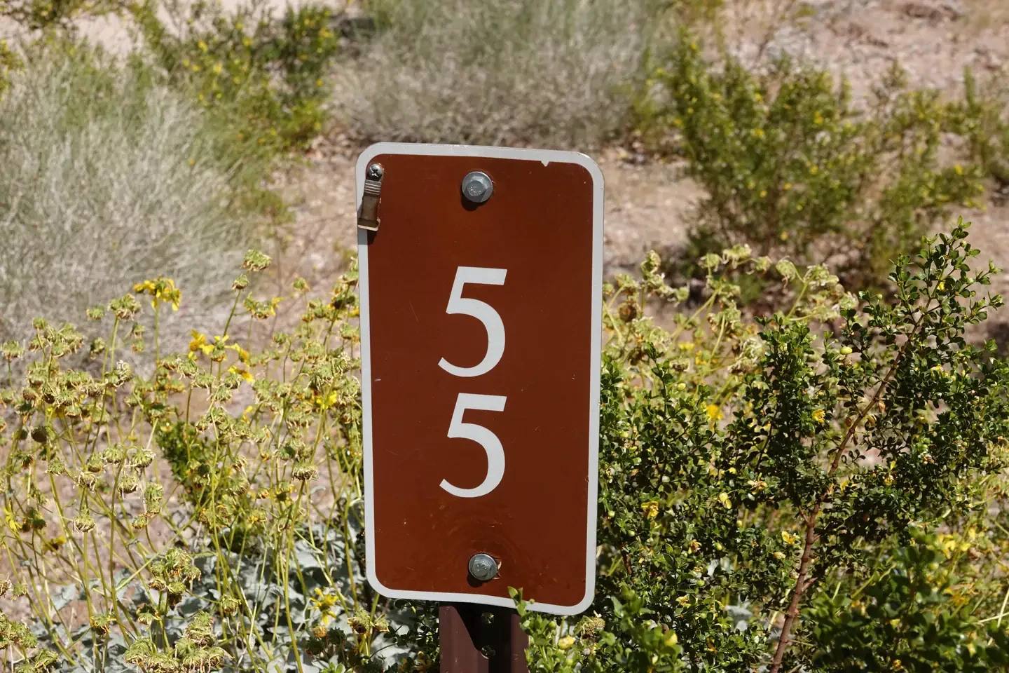 Site 55