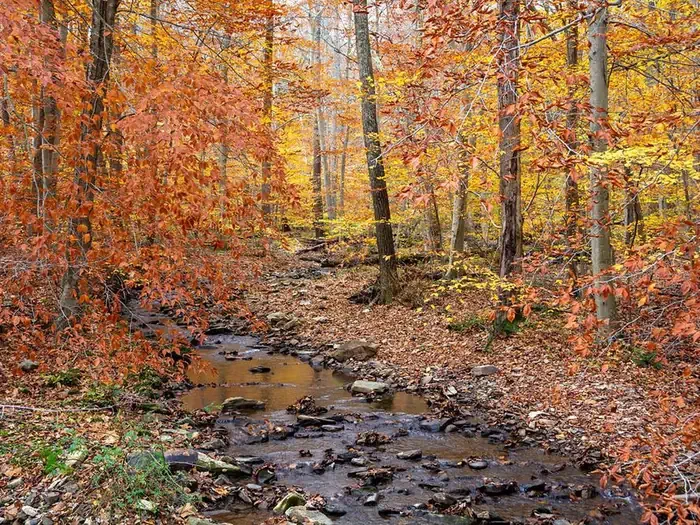 Owens Creek Campground