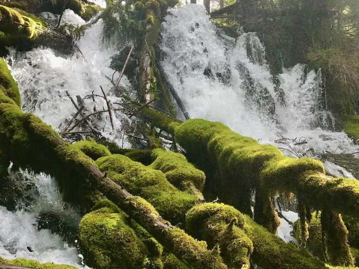 Clearwater Falls Campground