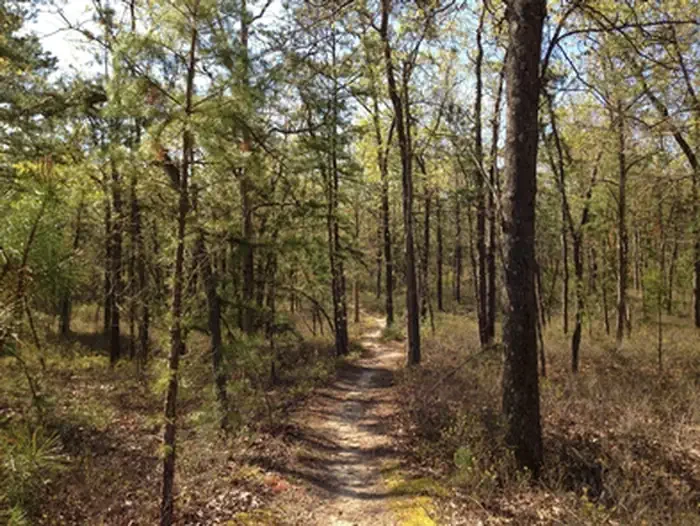 New Jersey Pinelands National Reserve