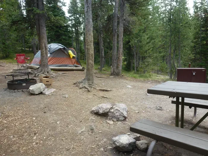 Lewis Lake site #10