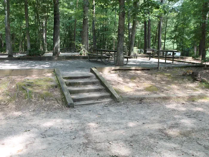 83
