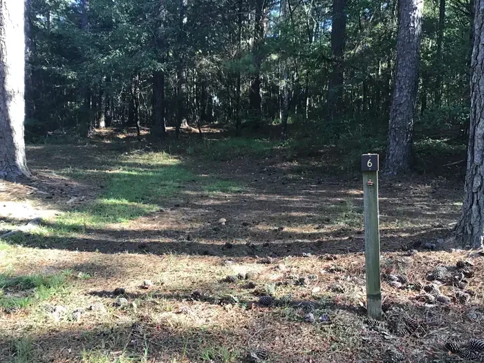 Site 06