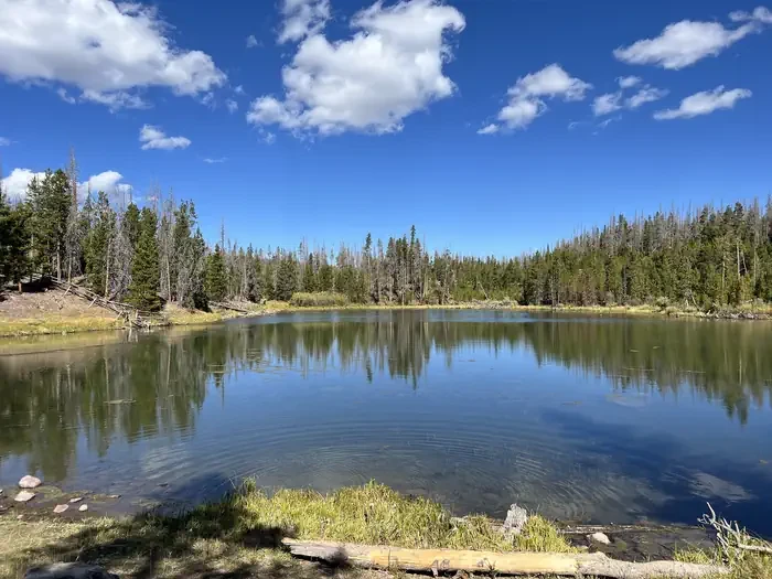China Meadows Campground