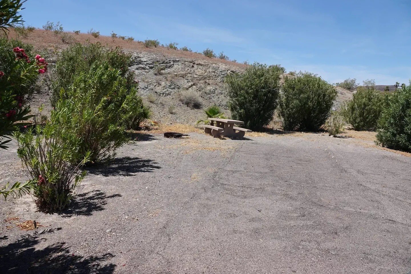 Site 9
