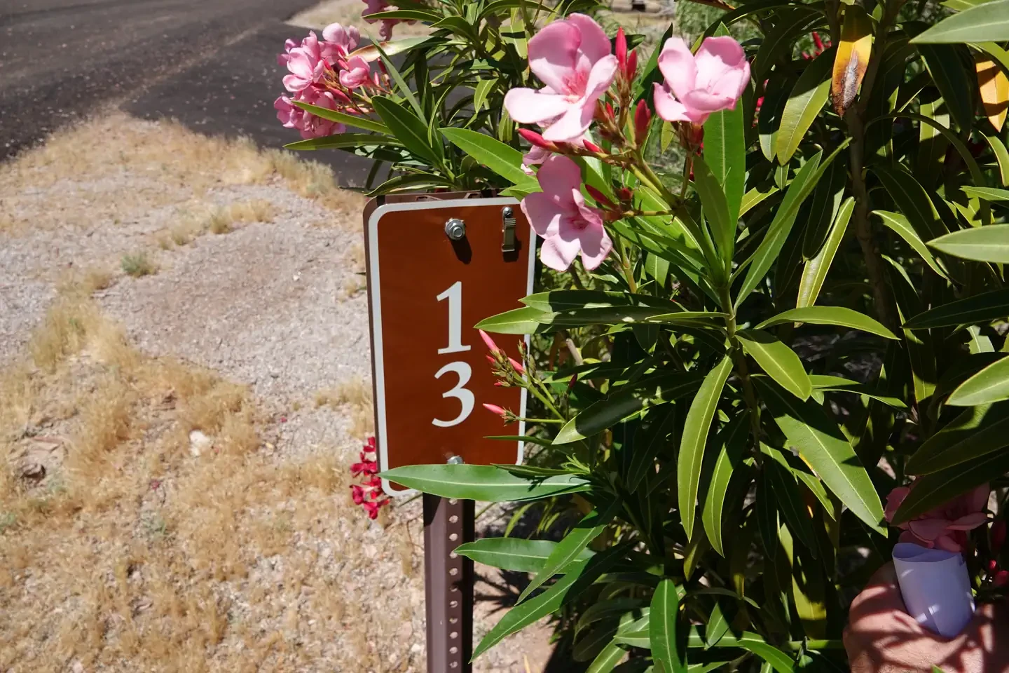 Site 13