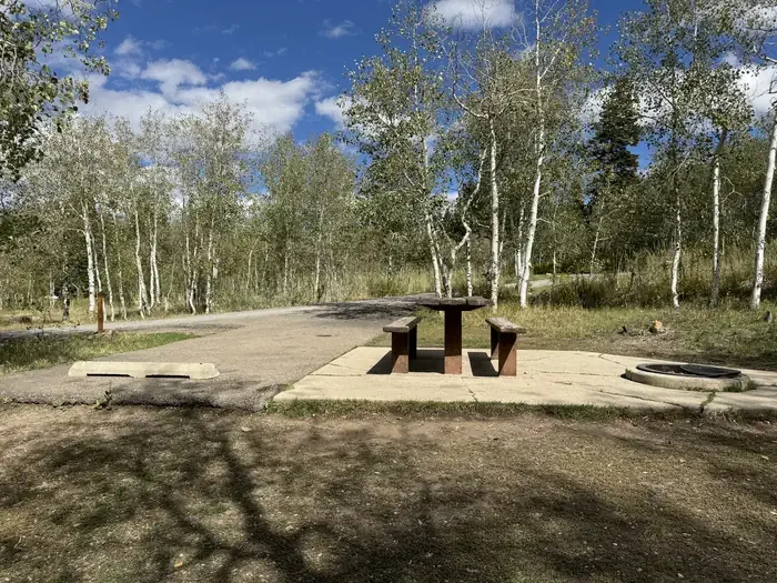 C22