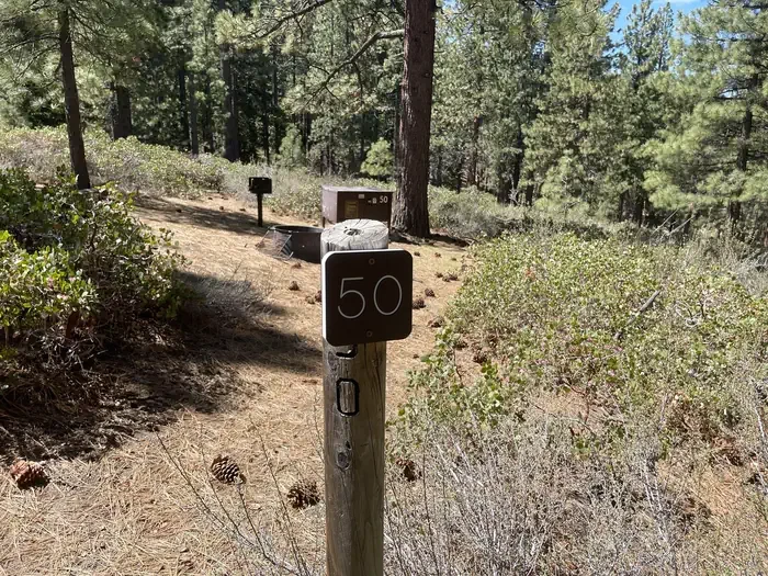 50