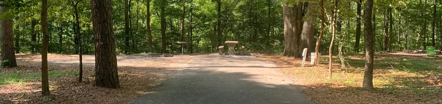 D10