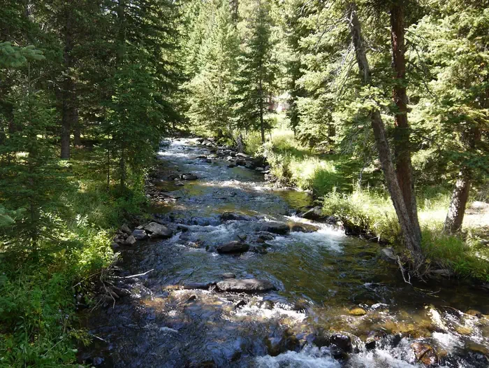South Fork (wyoming)