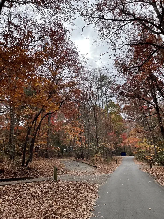 Lake Powhatan