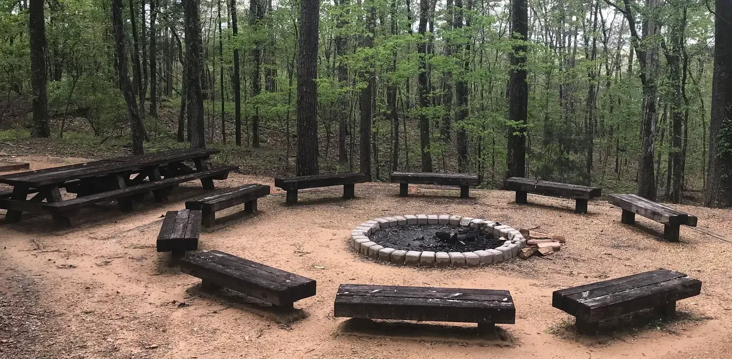 Bent Twig Camp