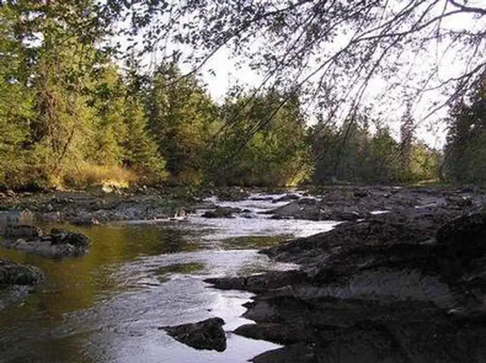 Castle River Cabin