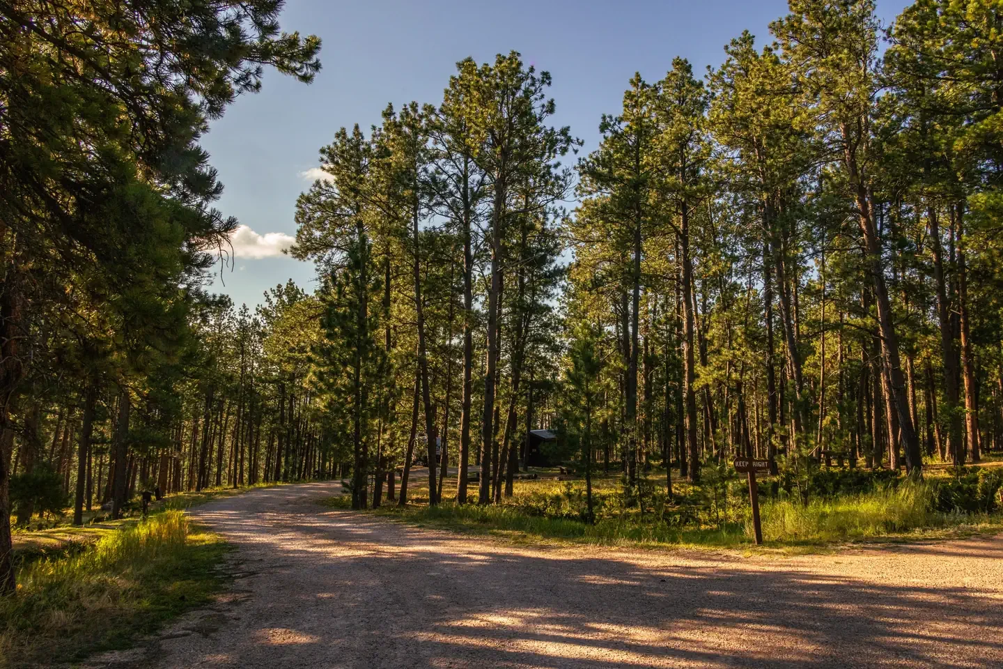 Reuter Campground