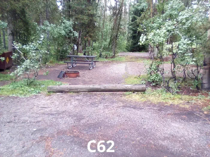 62