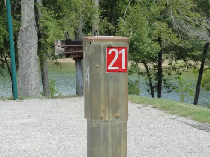 21