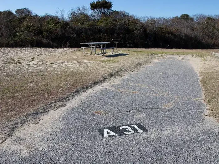 A031