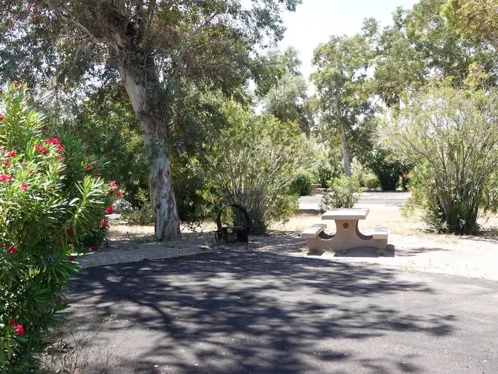 Site 33