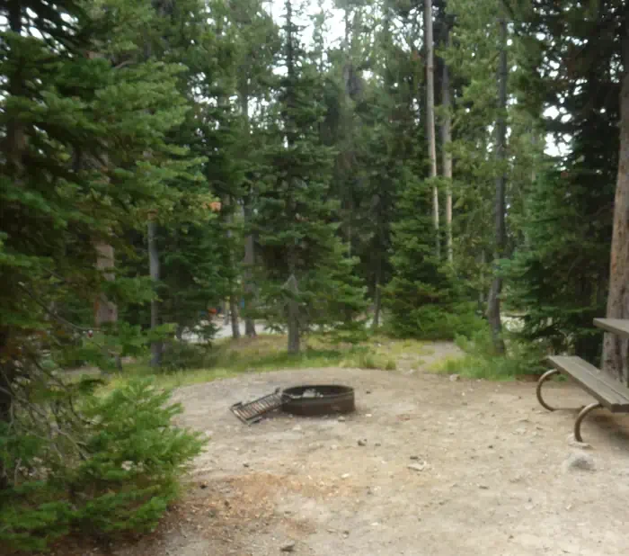 Lewis Lake site #47