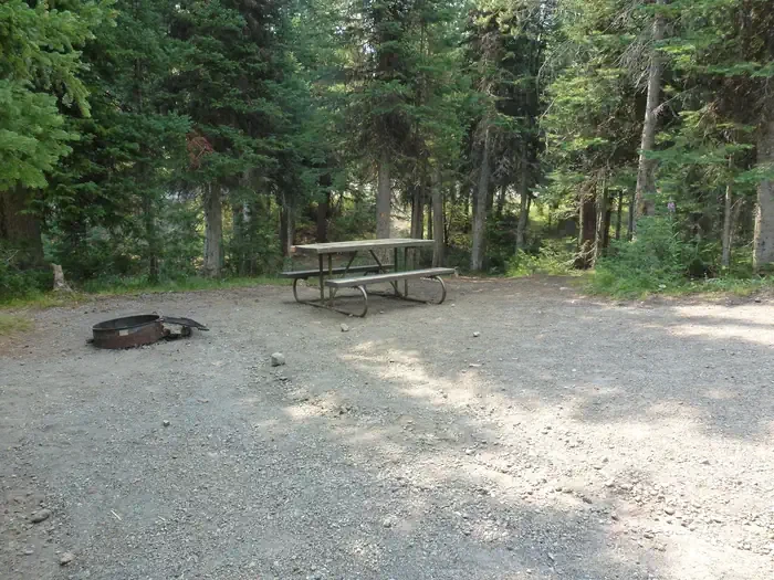 Lewis Lake site #79