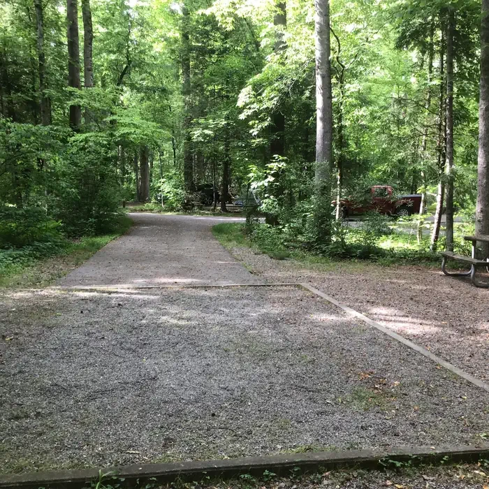 117