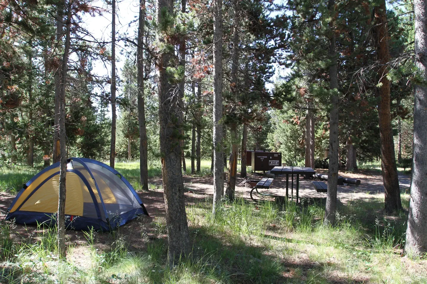 Indian Creek site #5