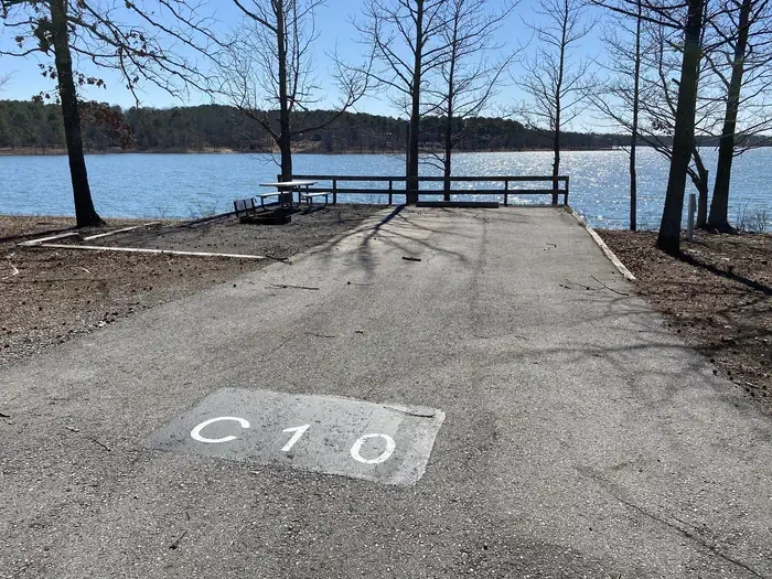 C10