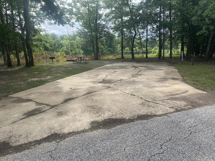 Site 29
