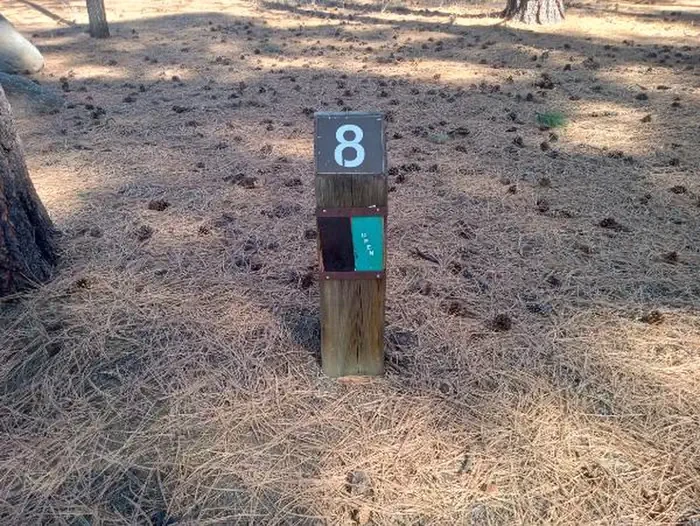 008