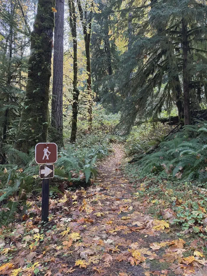 Loon Lake Recreation Site