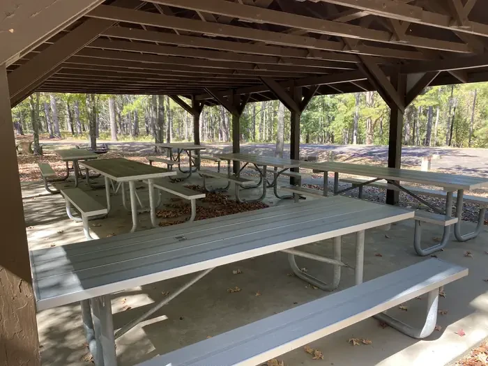 Shiloh Shelter AM