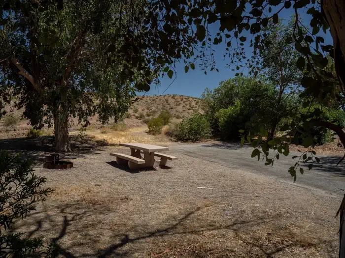 Site 36