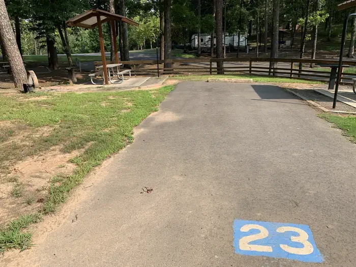 23