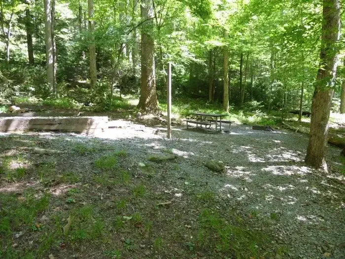 B31
