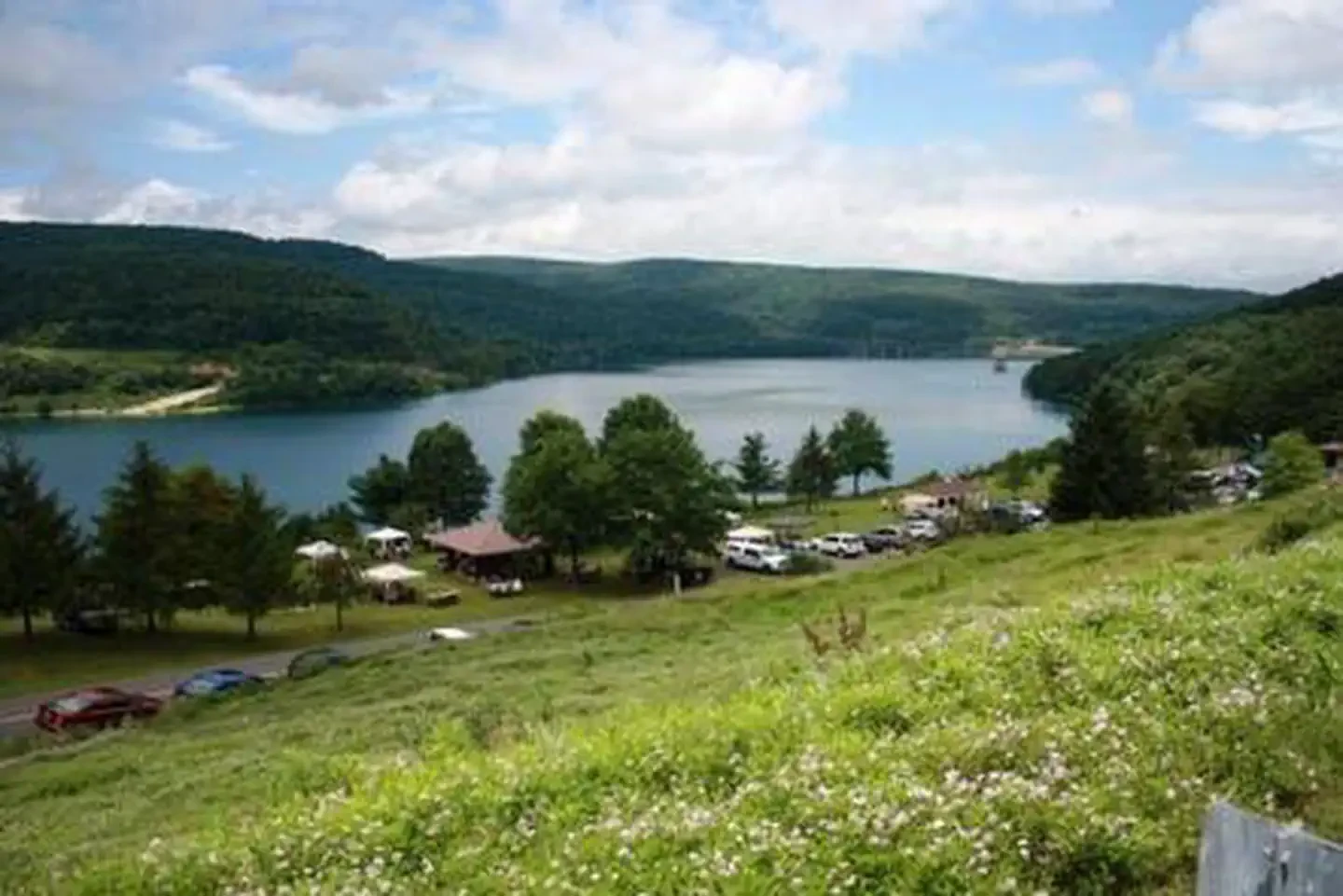 Howell Run Picnic Area