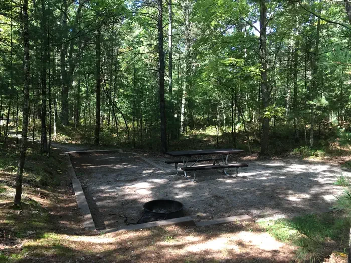 319