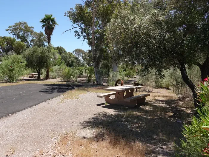 Site 45