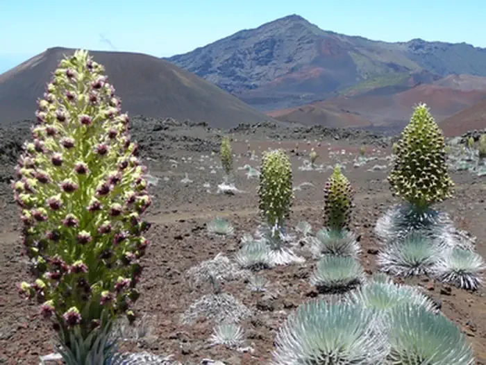 Haleakalā National Park