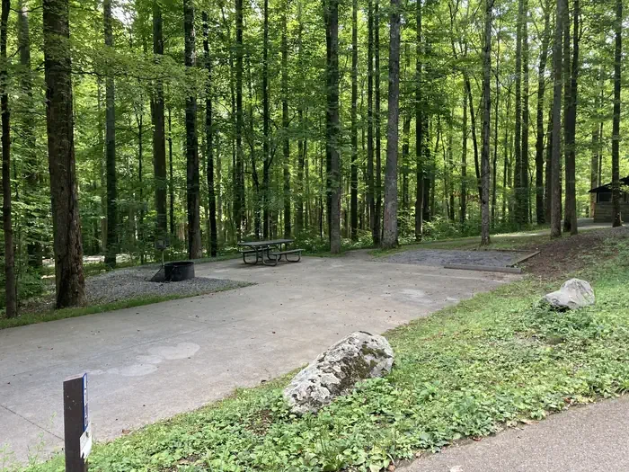 A61