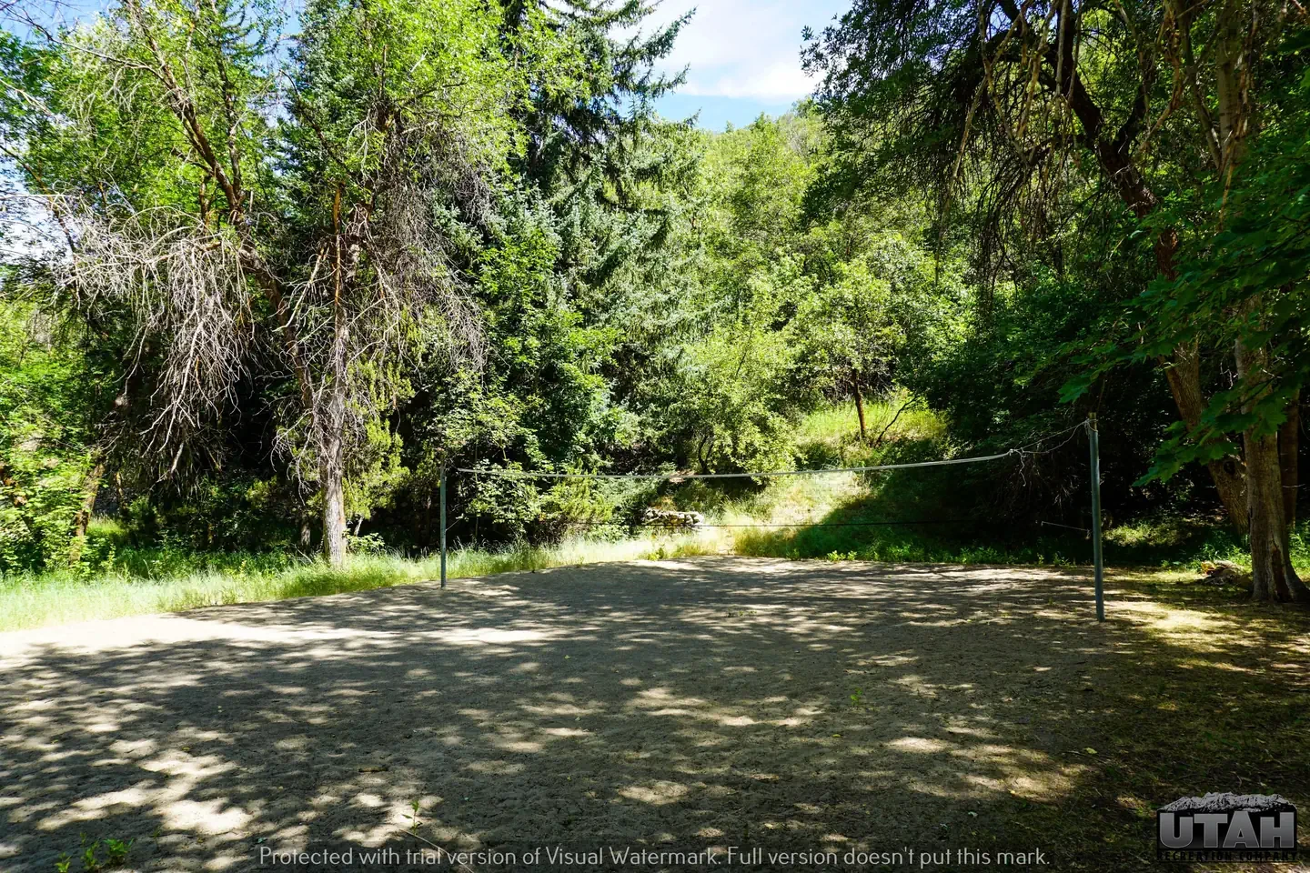 Mueller Park Group Picnic