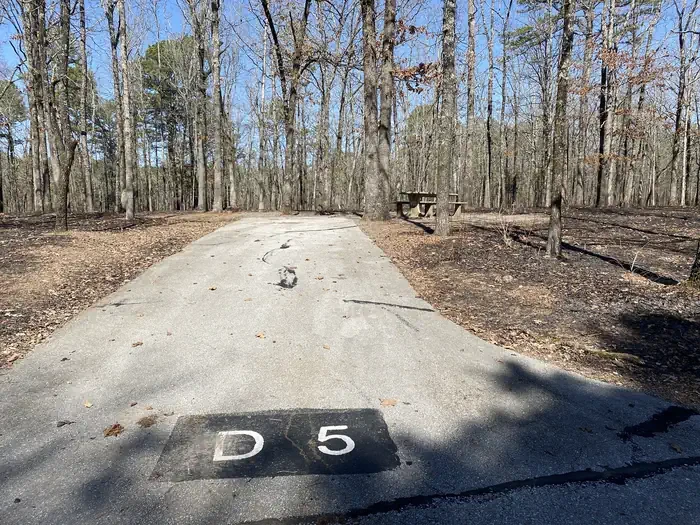 D05