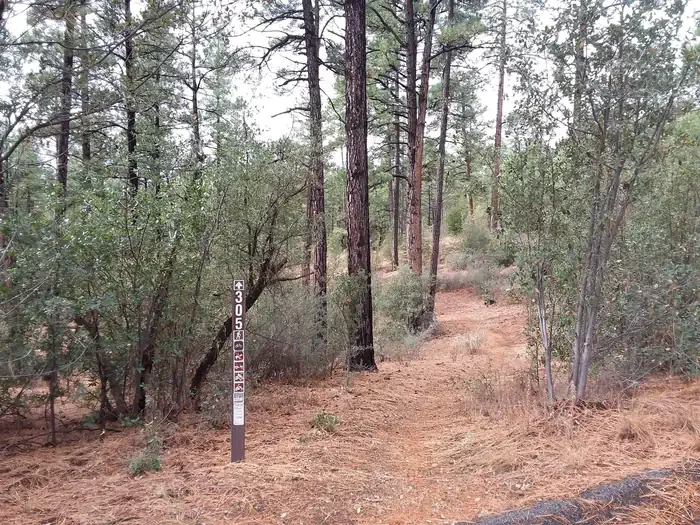 Hilltop Campground (AZ)