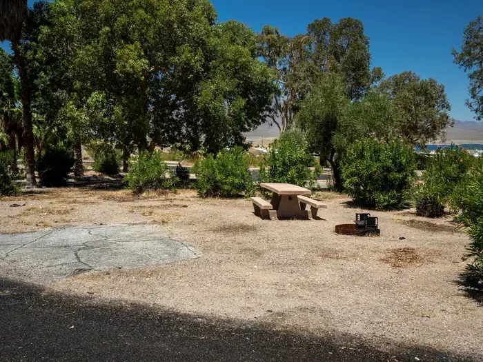 Site 1