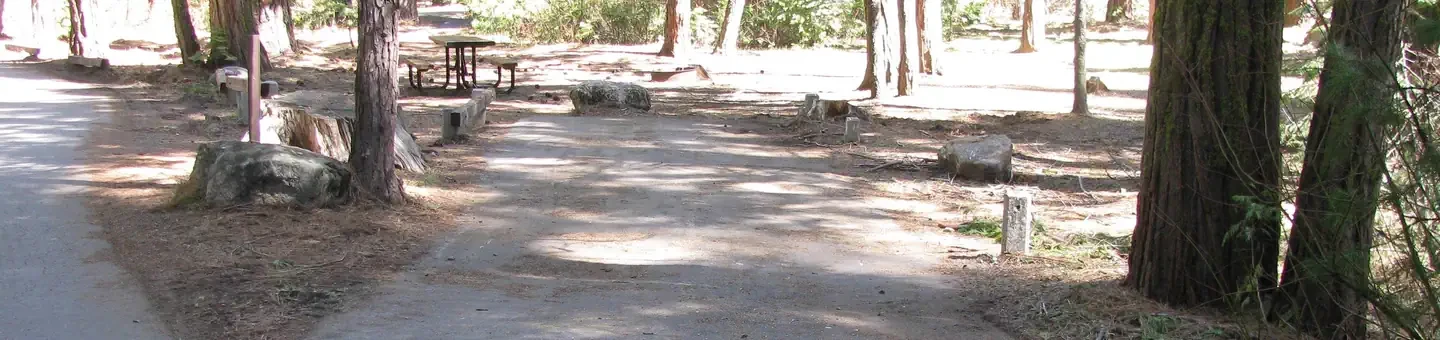 C005
