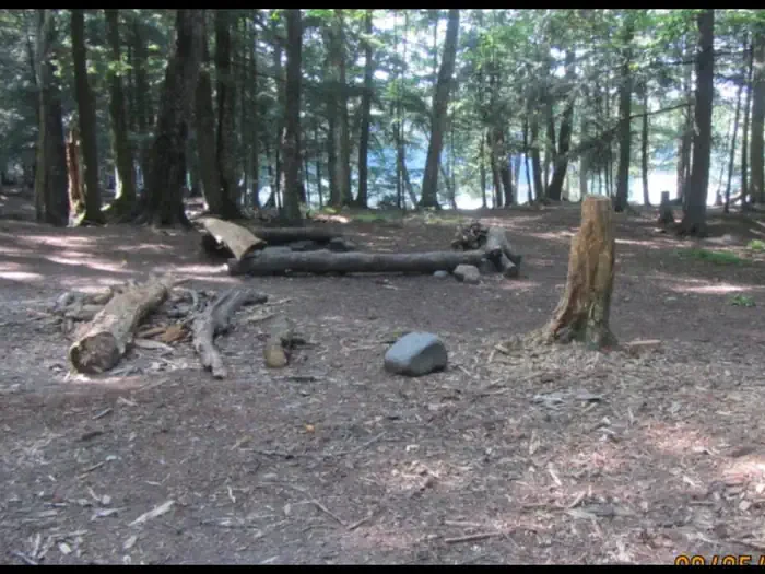 BEAVER-1