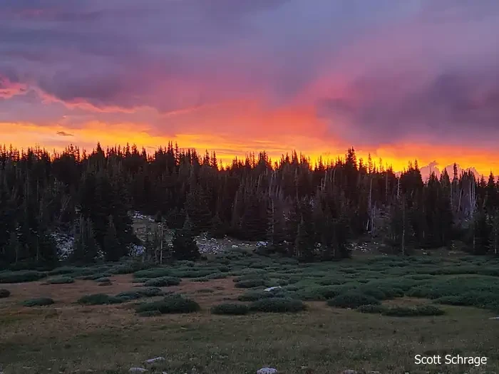 Sugarloaf Campground (WY)