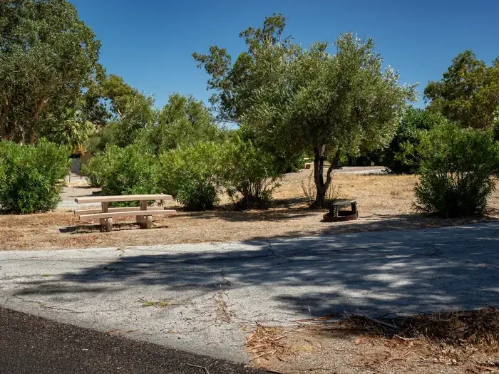 Site 47
