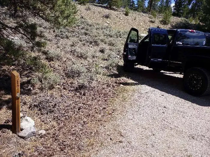 E007