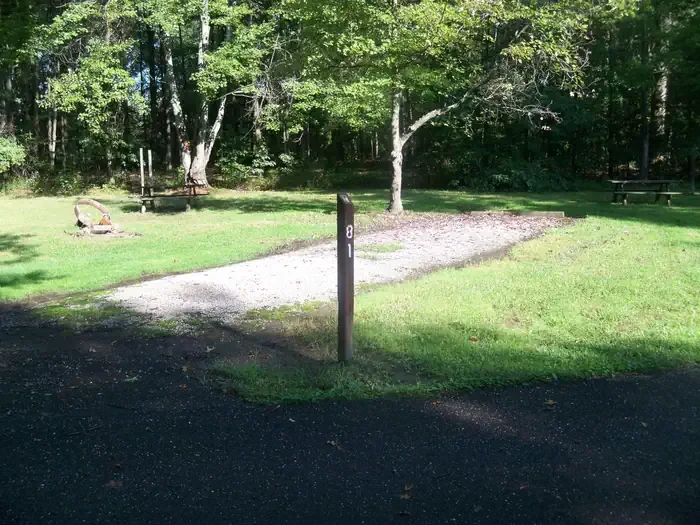 A081