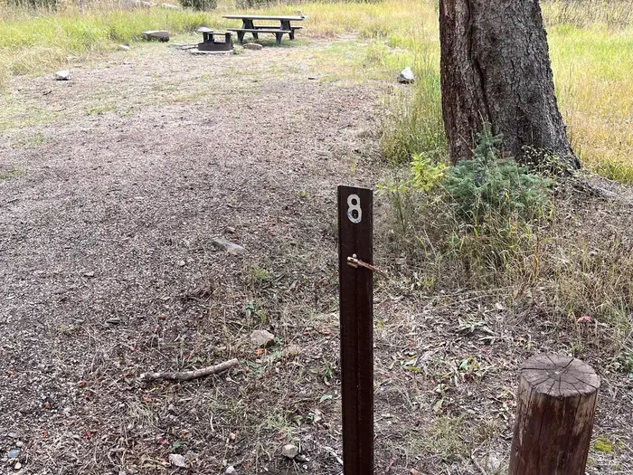 008